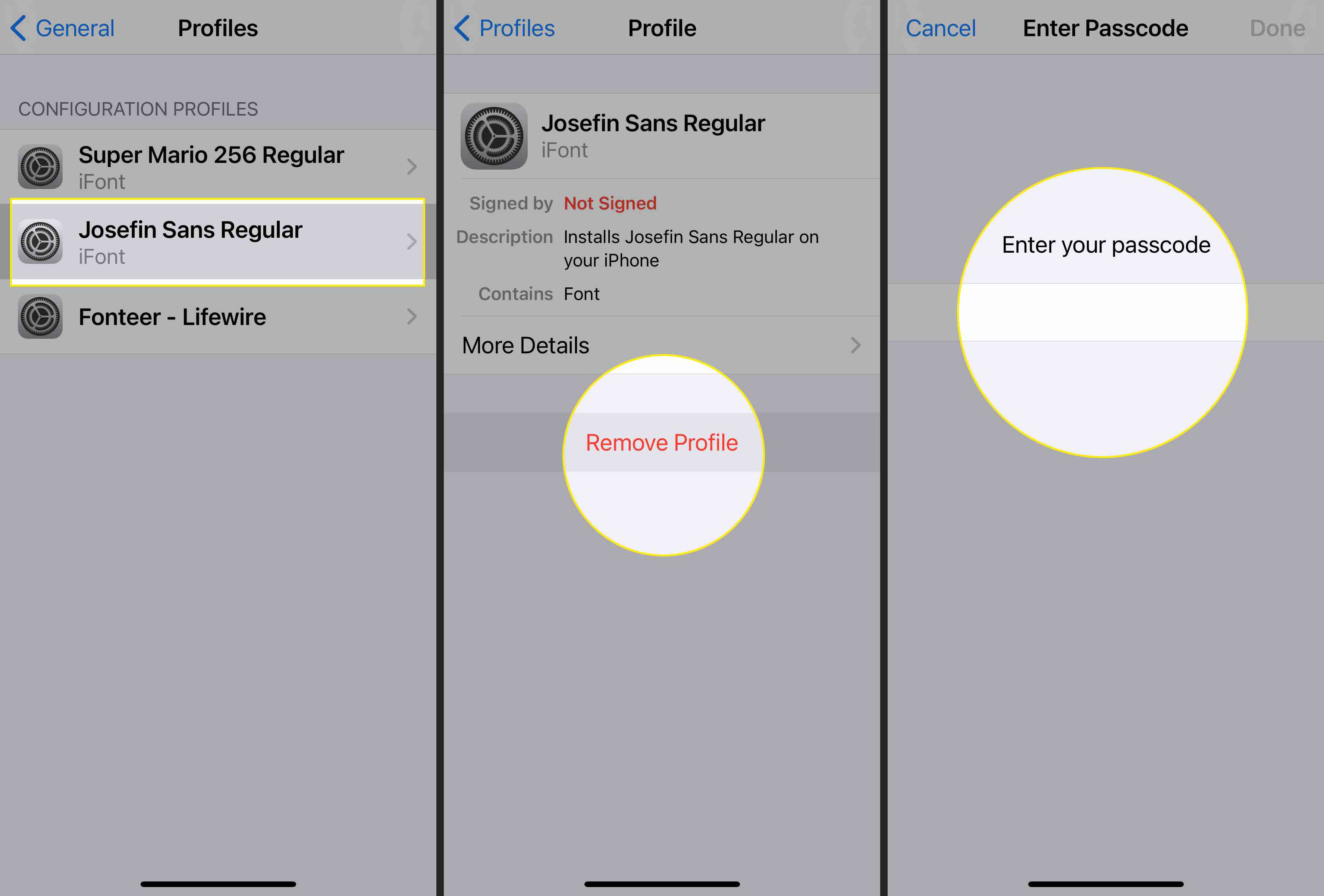 iPhone-profiiliasetukset JoseFin Sans Regularin kanssa, "Poista profiili" ja salasanakenttä korostettuna