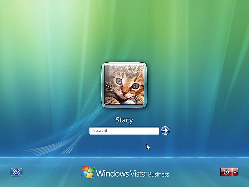 Kuvakaappaus Windows Vistan vikasietotilan kirjautumisnäytöstä