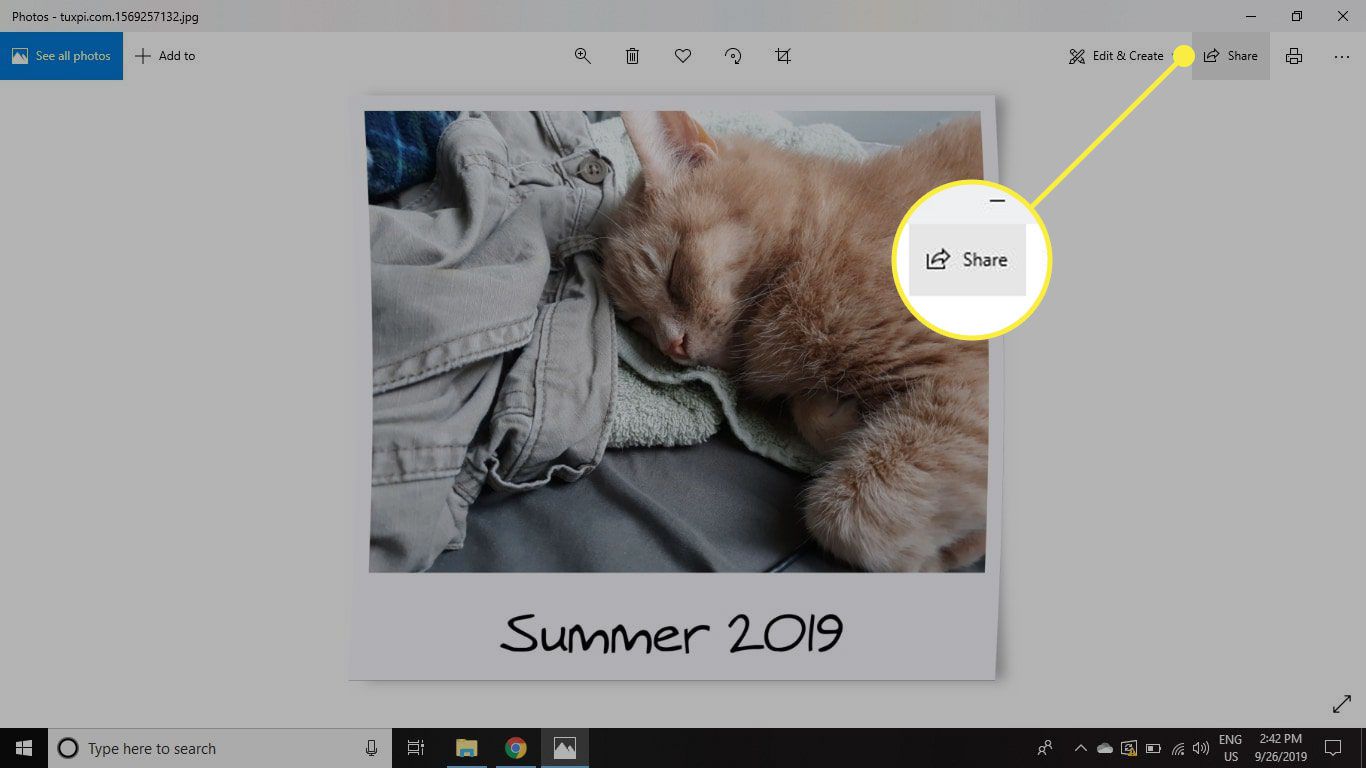 Share-painike Windows 10:n Photos-sovelluksessa