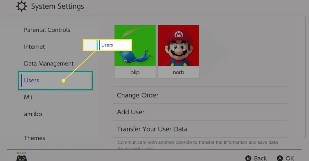 Käyttäjän valinta Nintendo Switchin järjestelmäasetuksissa.