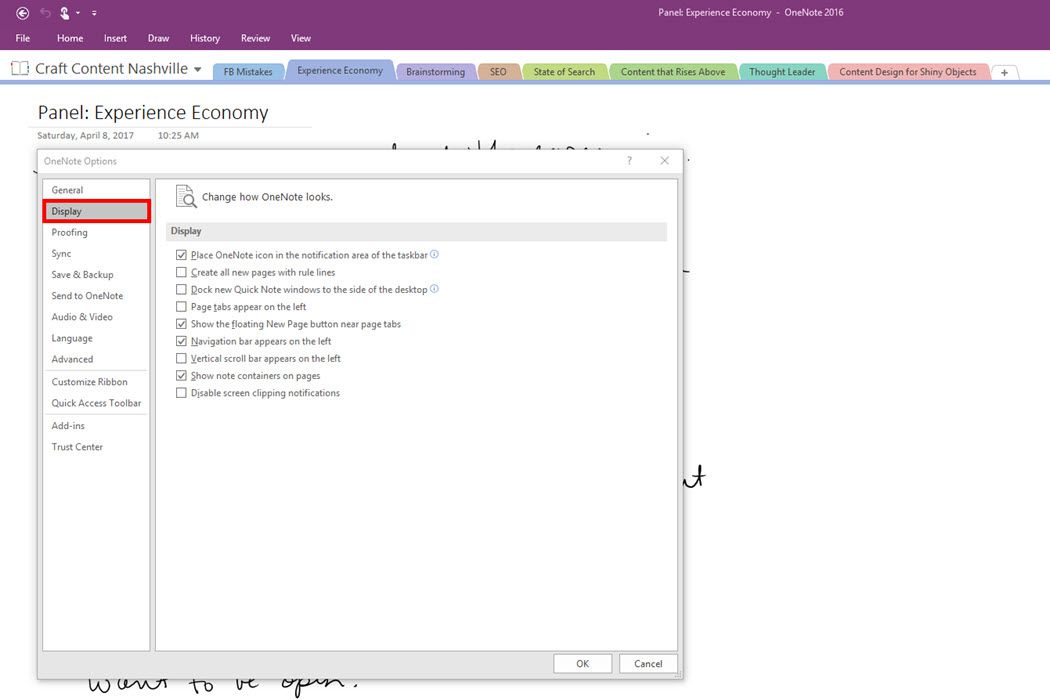 Screenshot of the OneNote 2016 Display Options.