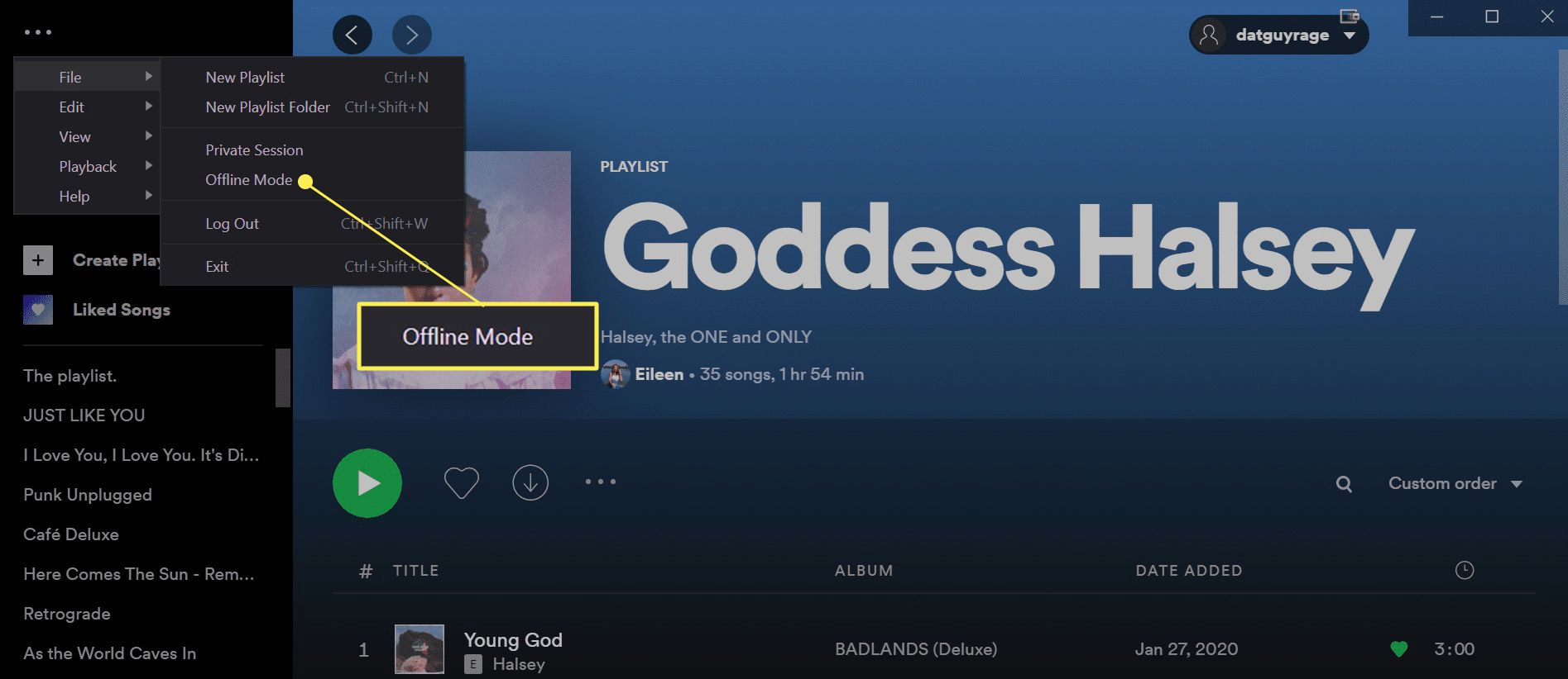 Asetusluettelo, jossa Offline Mode -vaihtoehto on korostettu Spotify Desktopille