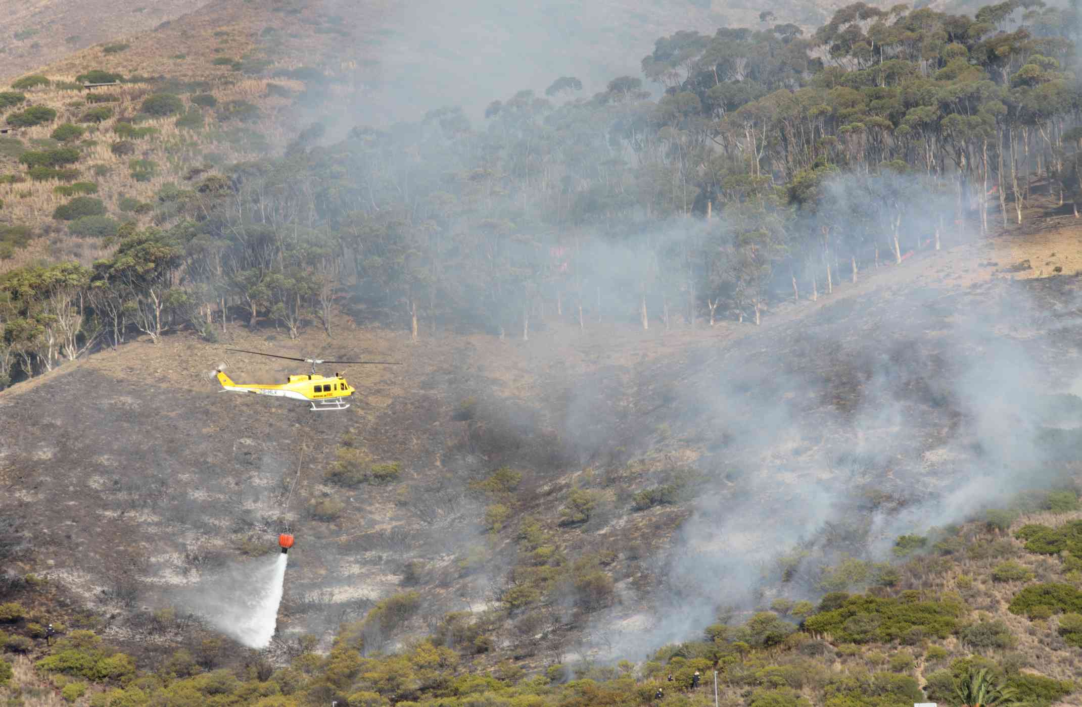 Helikopteri pudottaa vettä villiin tulipaloon.