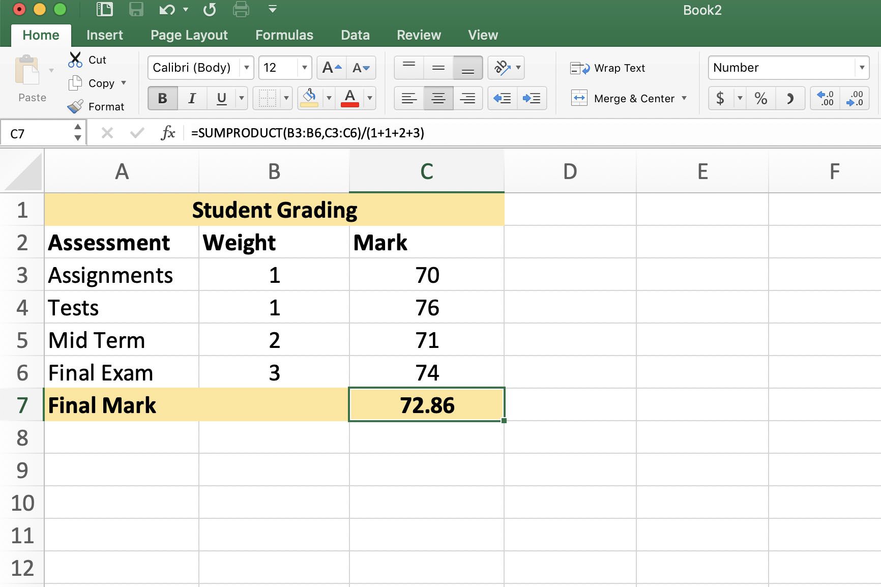 Excel näyttää esimerkin punnituskuvista