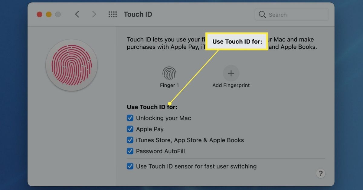 Touch ID:n käyttäminen Touch ID -asetuksissa korostetun osion kohdalla