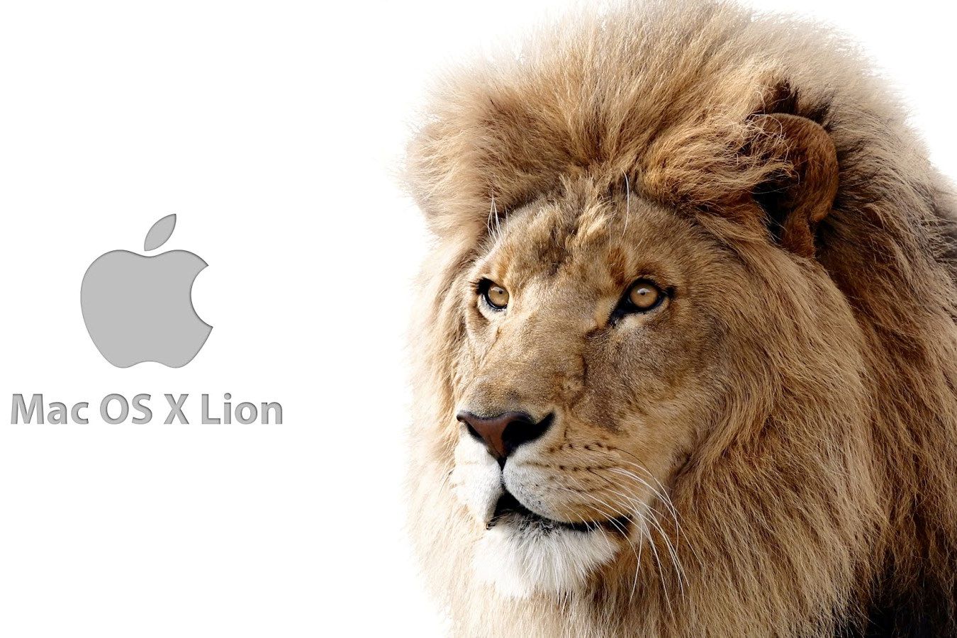 osx lion 5bfedf6b4cedfd00262c9e95