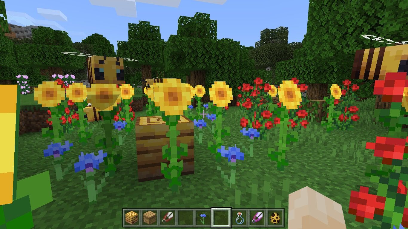 002 how to get honey from a beehive in minecraft 5079611 8d2c3f21c27f4ec3b1f3473a9bbb79e8