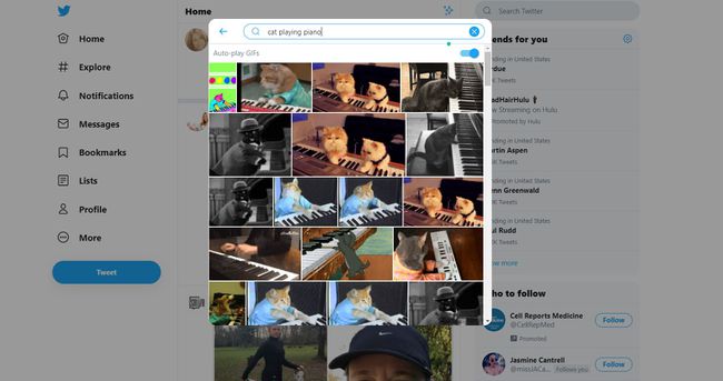 GIF-haku Twitterissä