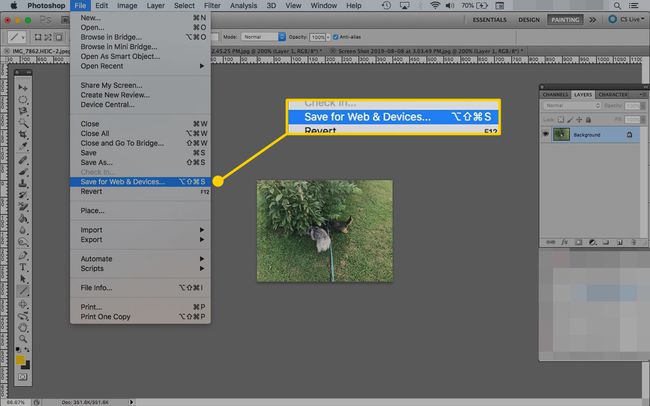 Photoshopissa avattu kuva, jonka Save for Web & Devices -valikkokohta on korostettuna
