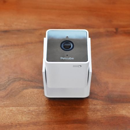 Petcube kamera