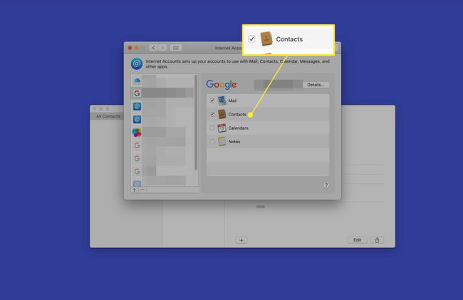 macOS-yhteystiedot Google-tilin yhteystiedot korostettuina