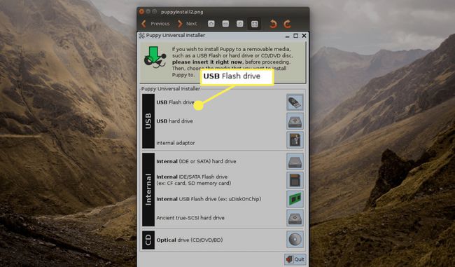 Varmista, että USB-asema, johon haluat asentaa Puppy Linuxin, on kytketty ja valitse USB-muistitikku.
