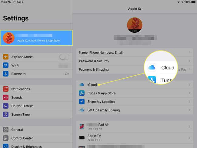 Kuvakaappaus iPadin asetuksista, jossa otsikko Apple ID ja iCloud on korostettuna
