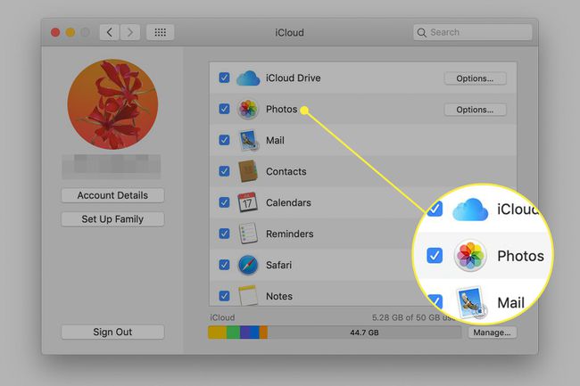 Näyttökaappaus iCloud-asetuksista macOS:ssä ja Valokuvat-vaihtoehto korostettuna