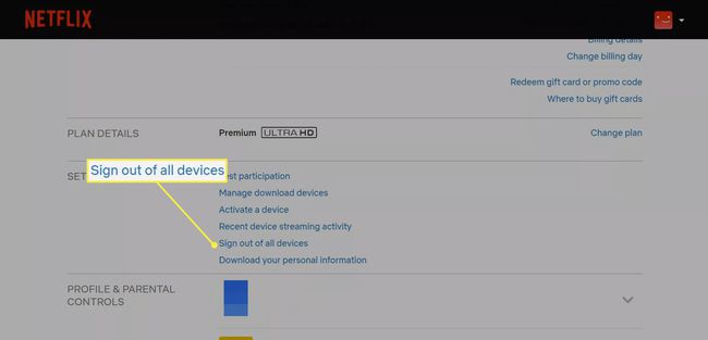Kirjaudu ulos kaikista Netflix-tilin asetuksissa merkityistä laitteista.