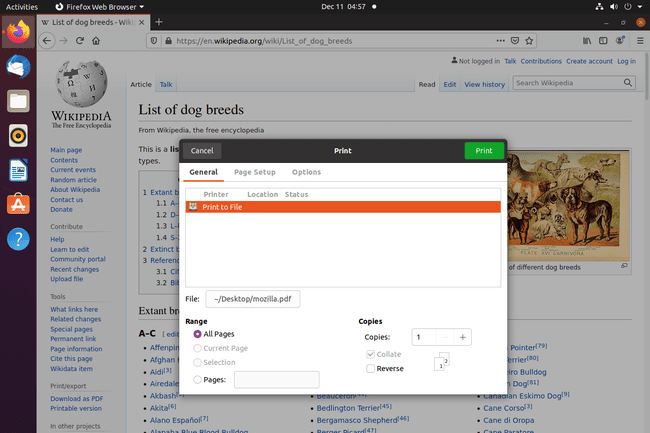 Kuvakaappaus Ubuntun tulostus tiedostoon -vaihtoehdosta verkkosivun tallentamiseksi PDF-muotoon