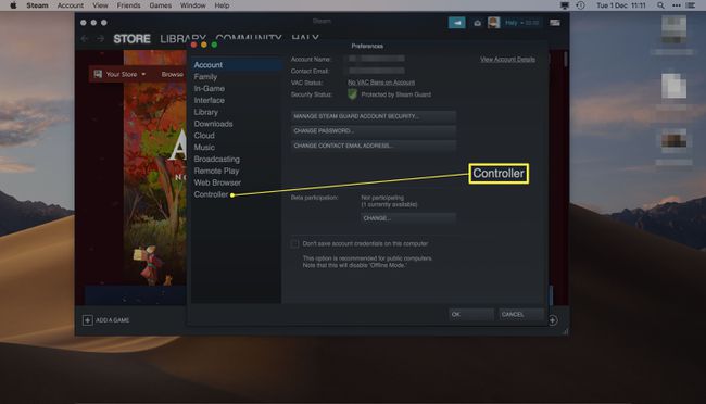 Steam-sovellus, jossa on Asetukset auki ja Ohjainasetukset korostettuina