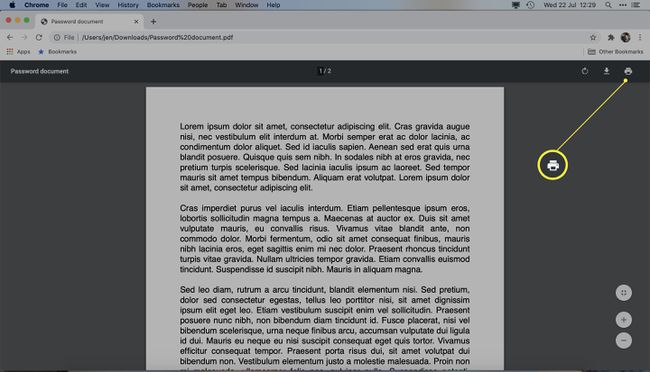 Asiakirja avataan Google Chromessa ja tulostuskuvake on korostettuna