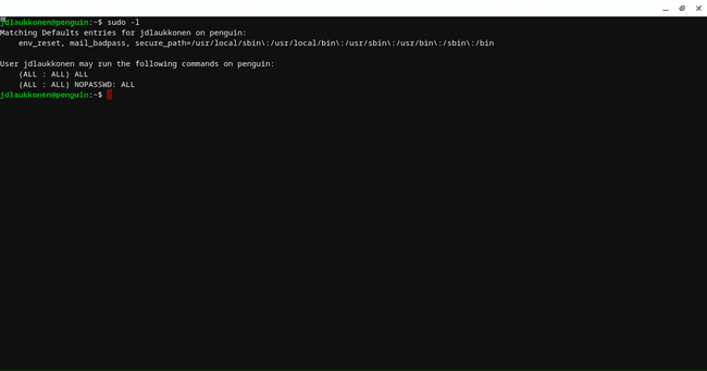 Kuvakaappaus komennosta sudo -l.