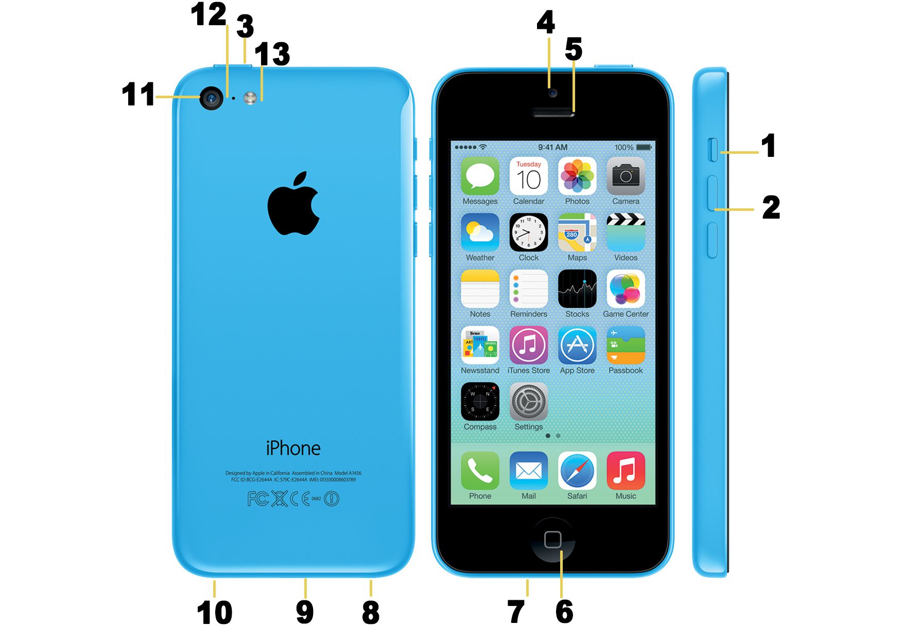 iphone 5c anatomy 2 b76dd1fb06bc4a3bb2bb7479eaa8dedb