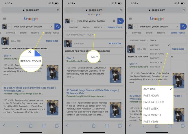 Näyttökaappaus Google-kuvahaun tuloksista korostettuina aikavaihtoehdoilla.