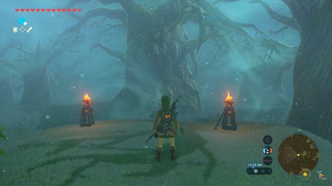 Linkki seisoo kahden Zeldan taskulampun välissä: BOTW