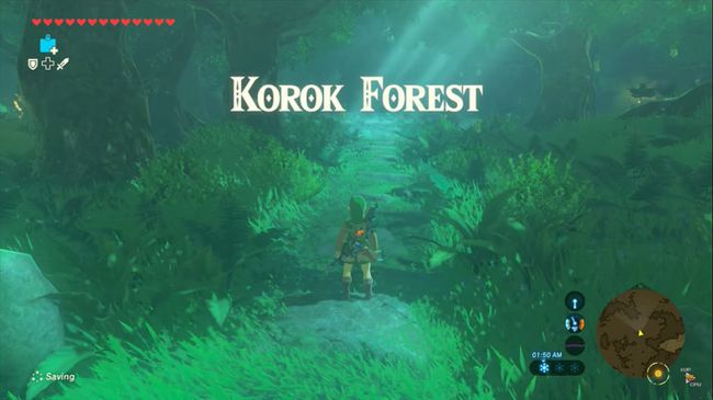 Korok Forest Zeldassa: BOTW