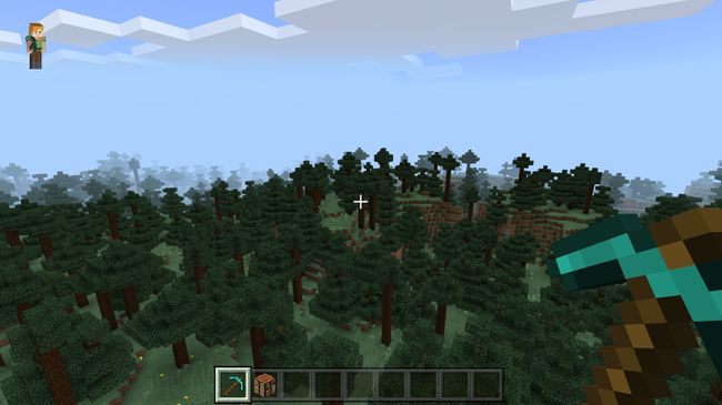 Taiga Biome Minecraftissa