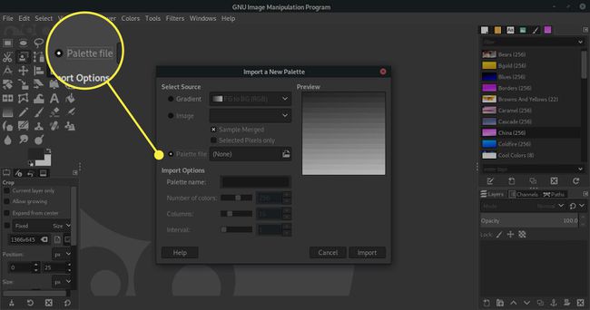 Kuvakaappaus GIMP:n Tuo uusi paletti -ikkunasta, jossa Palettitiedosto-vaihtoehto on korostettuna