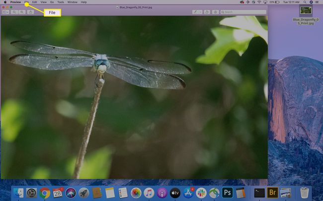 Tiedosto esikatselussa -vaihtoehto Macissa.