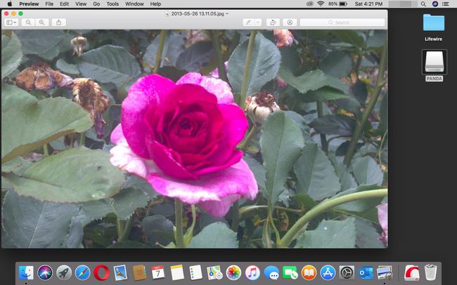 Valokuva avautuu esikatselussa macOS:ssä