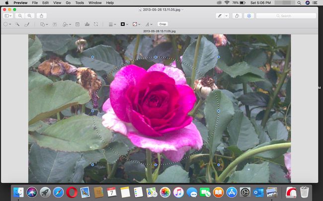 Elliptisen työkalun käyttäminen esikatselussa macOS:ssä