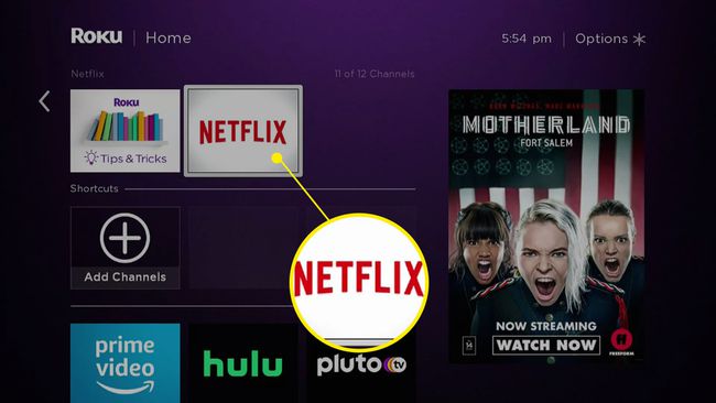 Kuvakaappaus Netflixistä Roku-kanavaluettelossa.