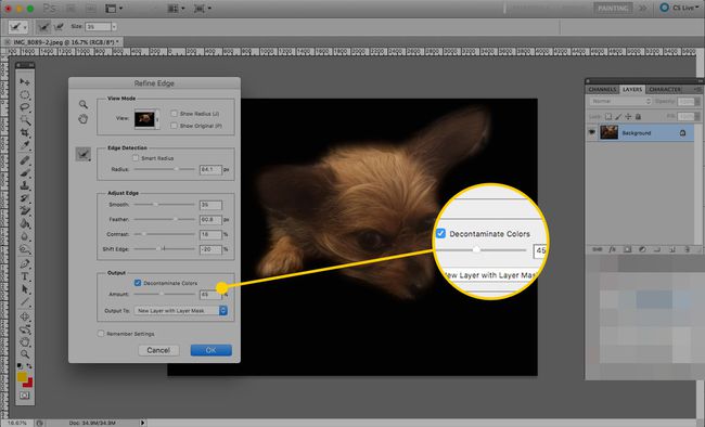 Refine Edge -työkalu Photoshopissa Dekontaminate Colors -valintaruudulla ja liukusäätimellä merkittynä