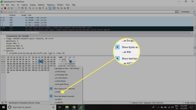 Kuvakaappaus Wiresharkin Packet Bytes -ikkunasta, jossa näkyy "palasina" vaihtoehto korostettuna
