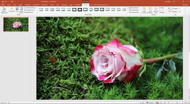 PowerPoint kuvien muotoiluvaihtoehdoilla.