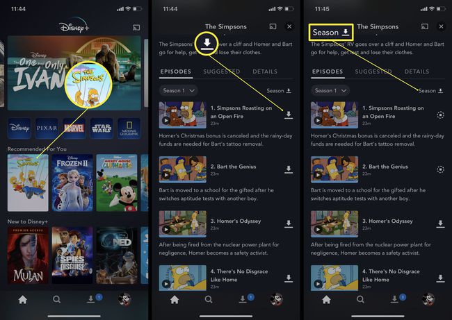 Disney Plus -sovelluksessa tarvittavat vaiheet TV-ohjelman jaksojen tai kausien lataamiseen
