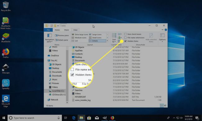 Kuvakaappaus käyttäjän kansiosta Windowsissa, jossa Näytä-valikon Piilotetut kohteet -vaihtoehto on korostettuna