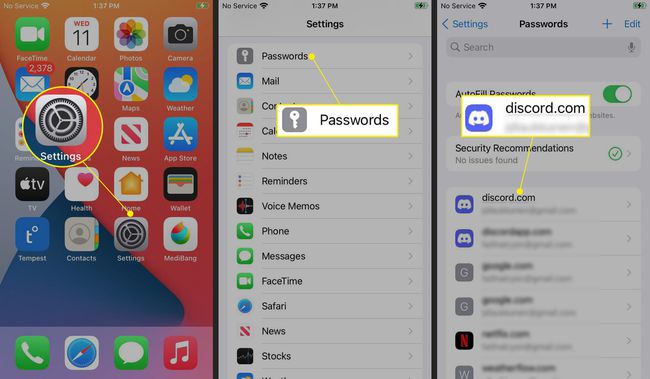 iPhone, jossa on korostettuna Asetukset-sovellus, salasanat ja Discord.com