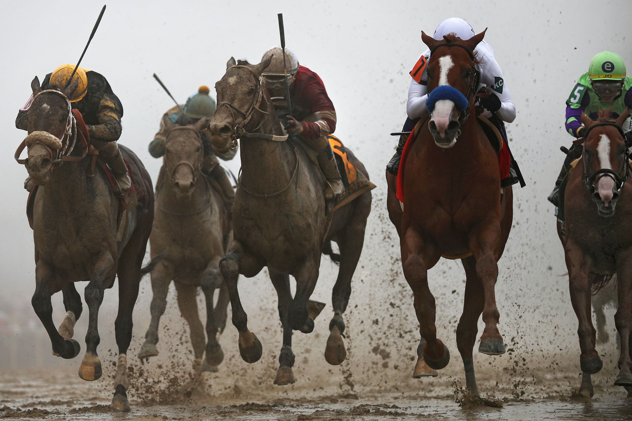 preaknessstakes 5c804f1b46e0fb00019b8ee0