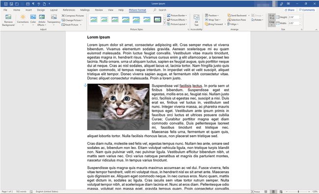 MS Word -dokumentti rajatulla kuvalla