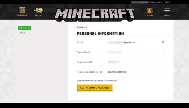 minecraft profiili