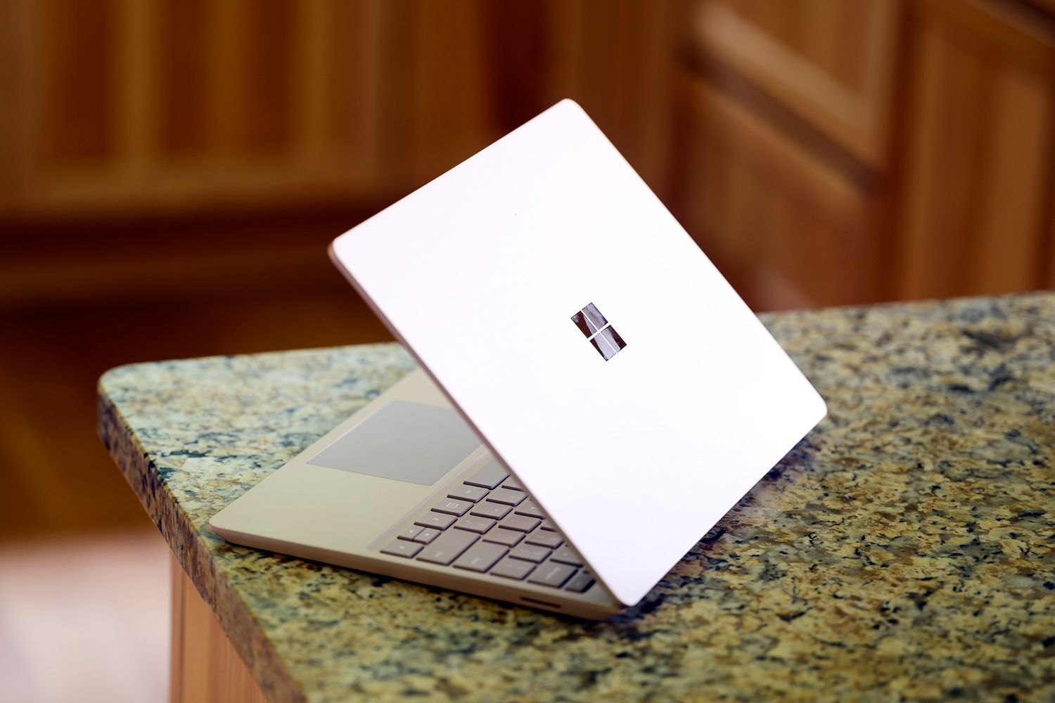 Microsoft Surface Laptop Go