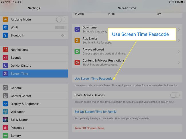 Kuvakaappaus iPadin asetuksista, jossa Käytä Screen Time Passcode -komento on korostettuna