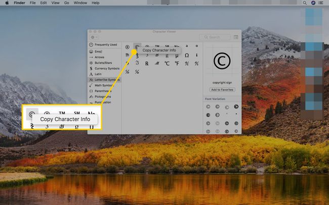 Emojit ja symbolit -valikko Macissa, jossa Kopioi merkin tiedot -ruutu on korostettuna