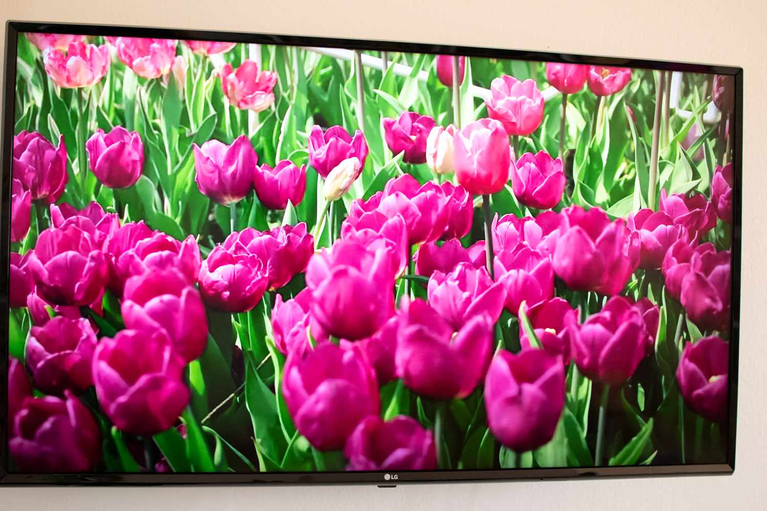 LG UM7300 49-tuumainen 4K-televisio