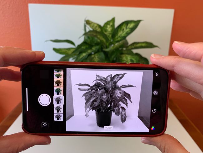 Kuva iPhonesta, jossa on aktiivinen MONO-suodatin, näyttää kohteen kasvista eri sävyissä valkoisesta mustaan