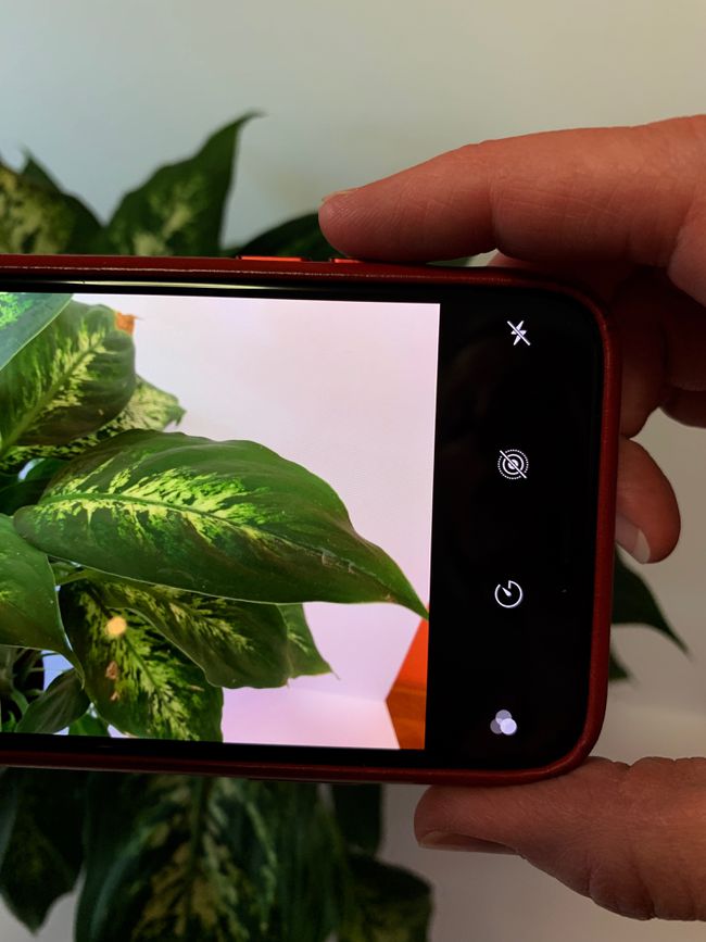 Kuvassa iPhonen äänenvoimakkuuden lisäyspainikkeen painaminen valokuvan ottamiseksi