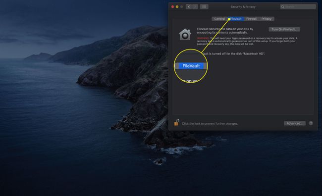 FileVault-välilehti