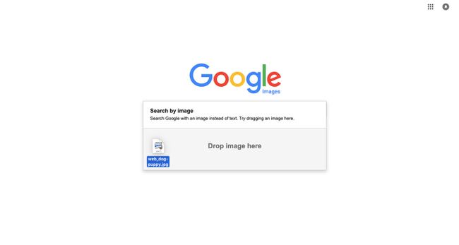 Googlen käänteisen kuvahaun käyttäminen - 2022
